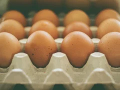 Poland becomes world’s third largest egg exporter as output hits record 14.4bn