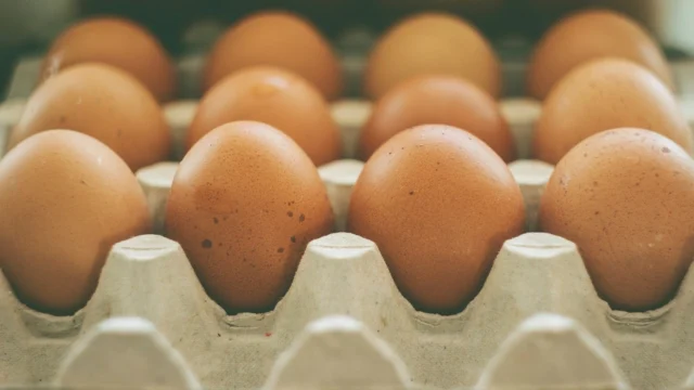 Poland becomes world’s third largest egg exporter as output hits record 14.4bn